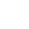 iphone_icon